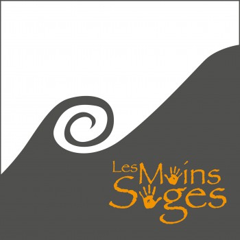 Logo LMS